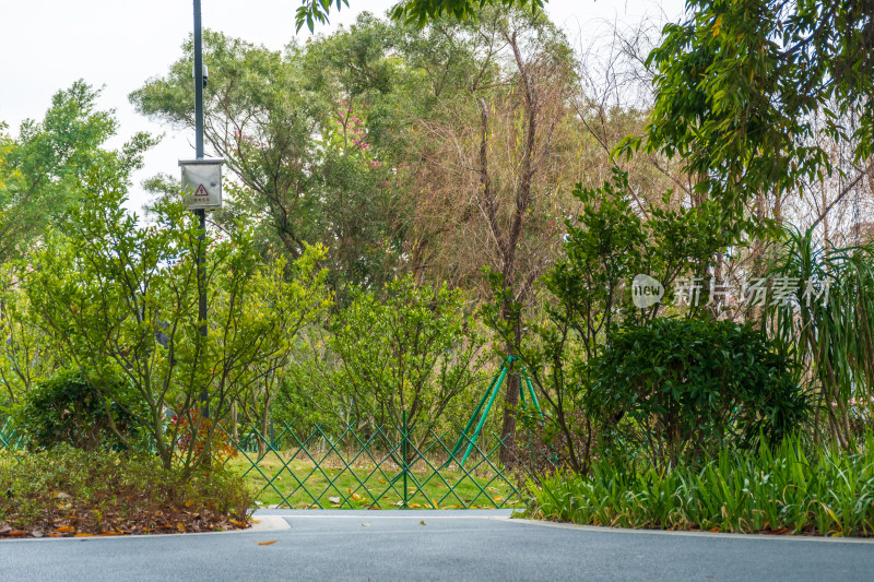 路边绿植围栏自然景观