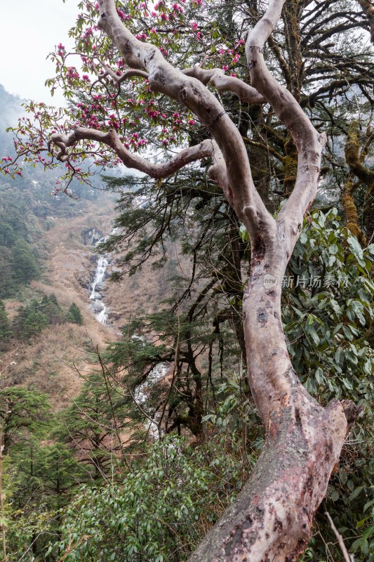 中国西南部山区风光