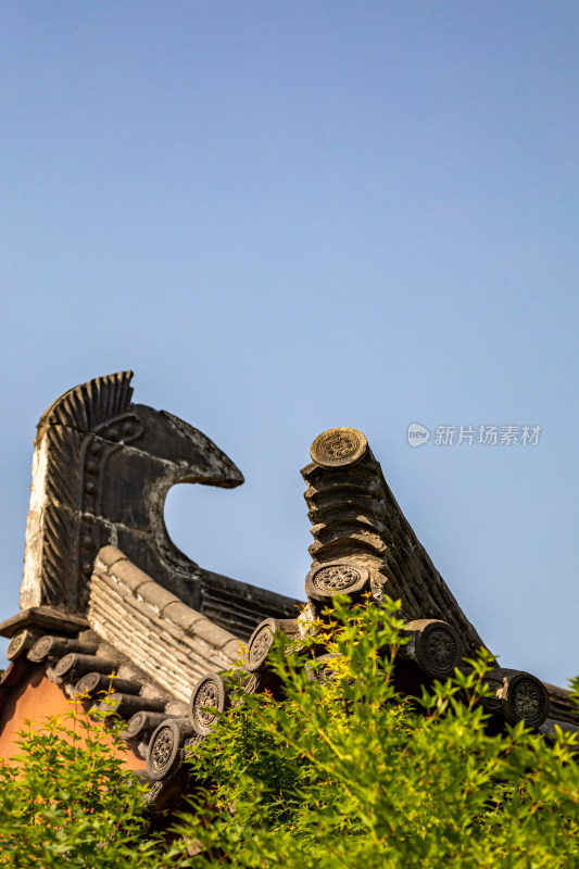 陕西西安青龙寺遗址乐游原景点景观