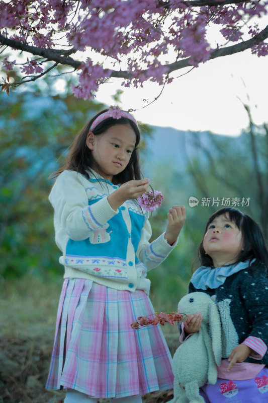 樱花树下的小女孩