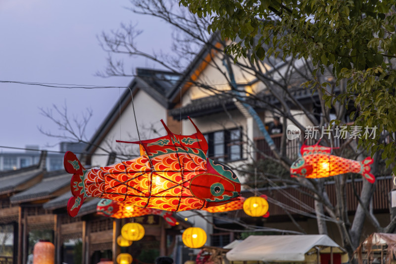 鱼灯笼花灯春节新年节日夜晚上海蟠龙天地