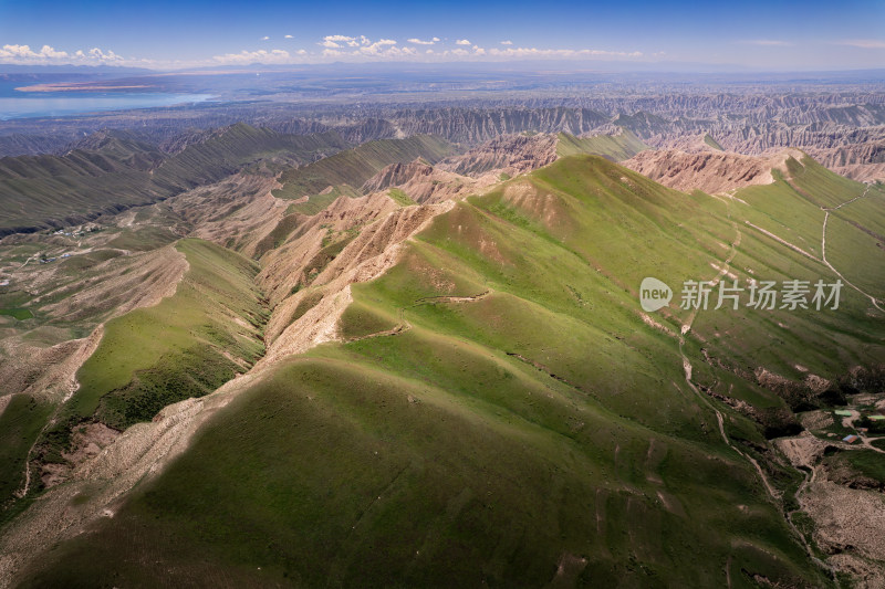 青海高山牧场