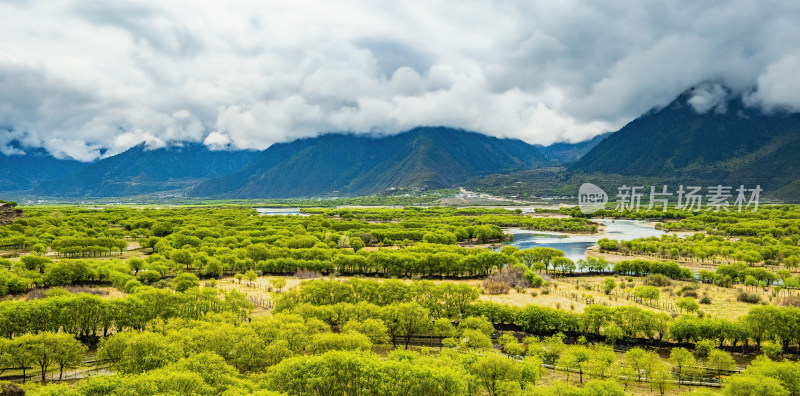 尼洋河山林河流自然风光全景