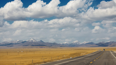 祁连山下牧场公路