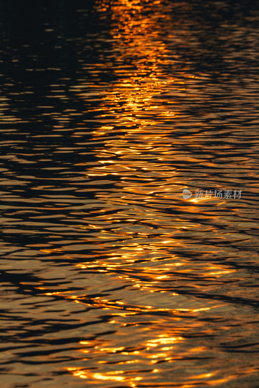 水面金色夕阳倒影