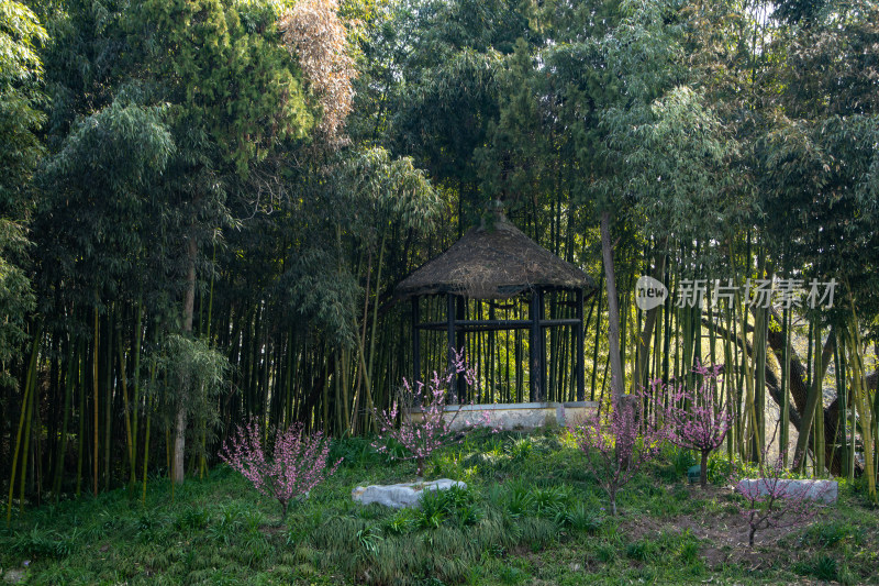 江苏省扬州市瘦西湖风景区竹林春色