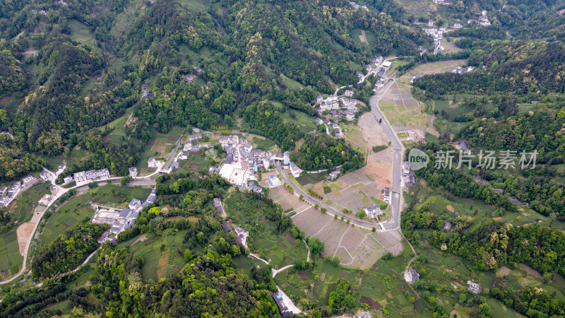 大山山峰农村农业农民茶园