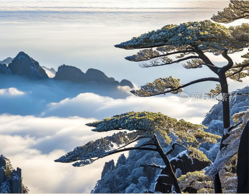 黄山风景