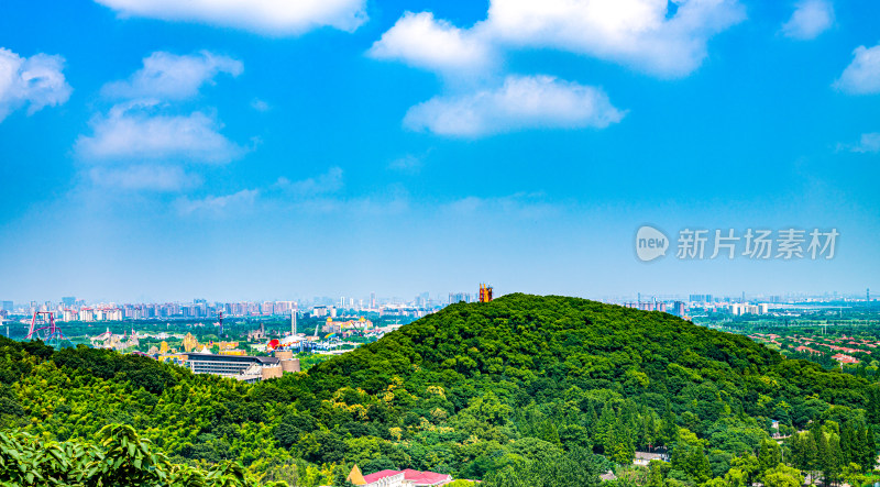 上海佘山森林公园景观