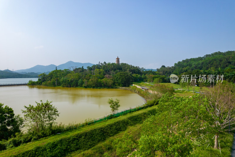 深圳环西丽湖碧道