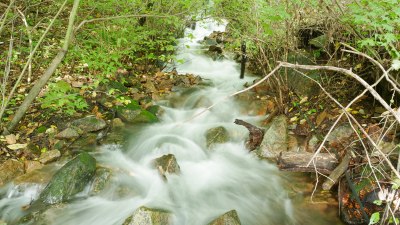 东北长白山森林里的溪流