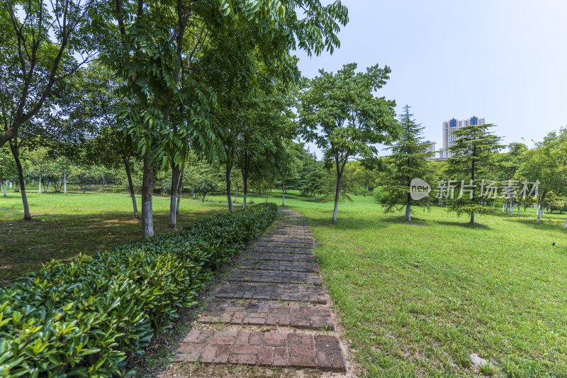 武汉青山区戴家湖公园风景