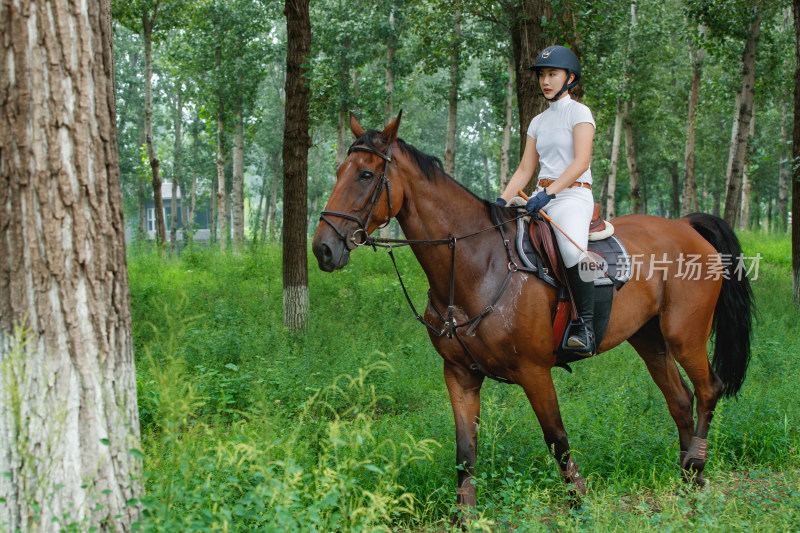树林中骑马的漂亮年轻女孩