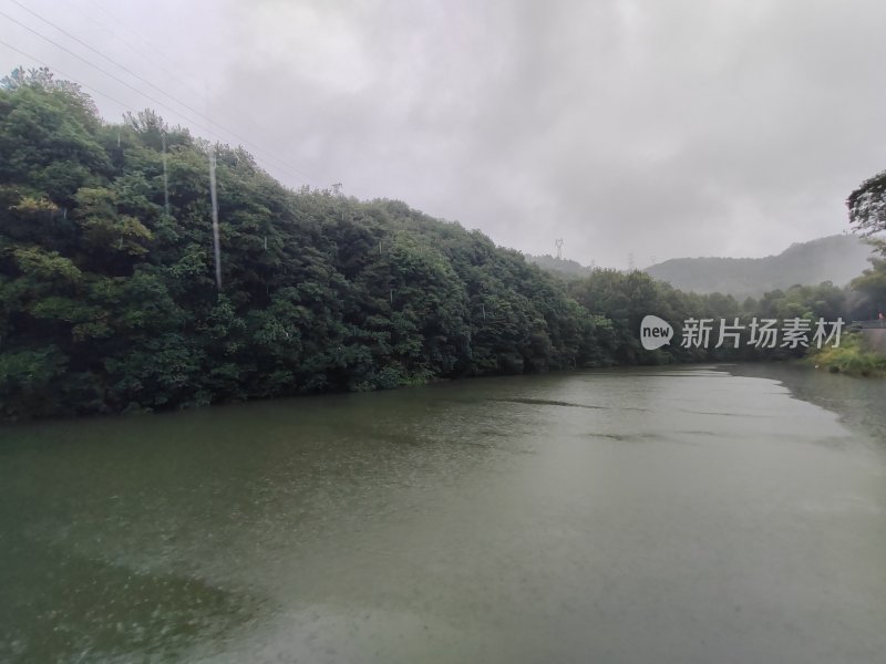 阴雨天树林旁的湖水景观