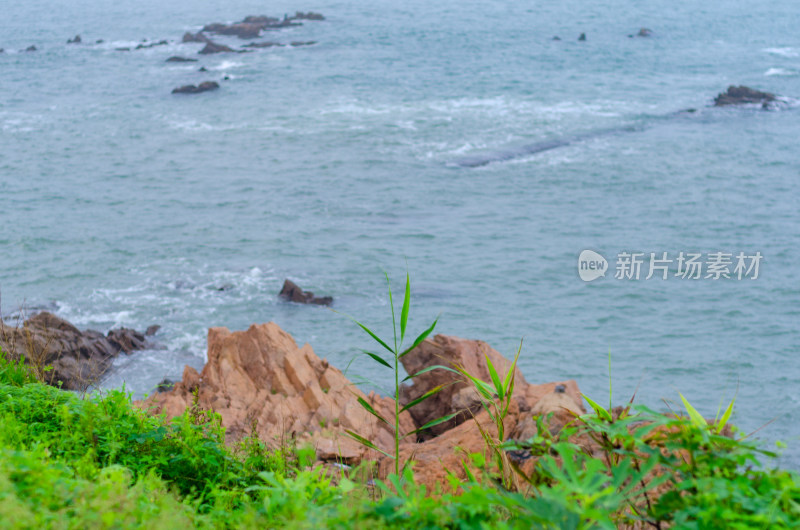 青岛海边自然风光