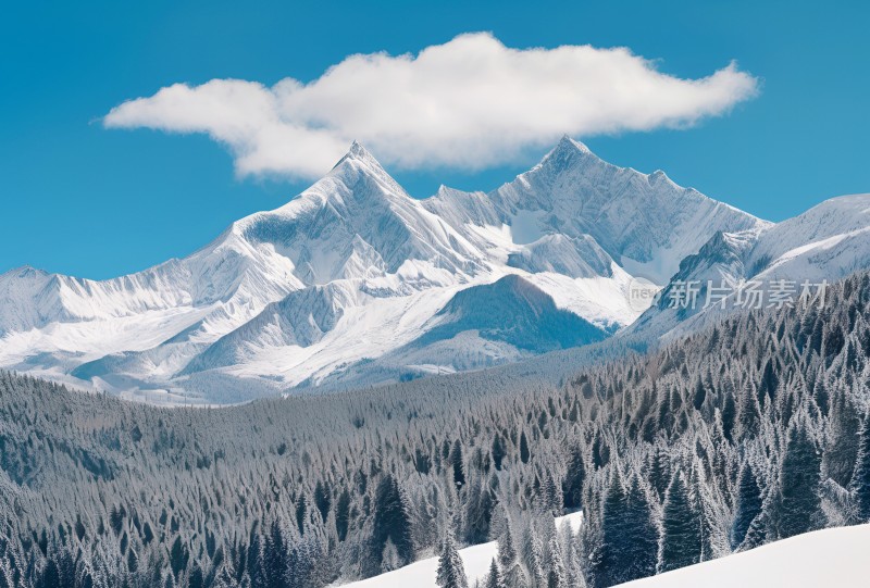 雪山高原草原森林风景