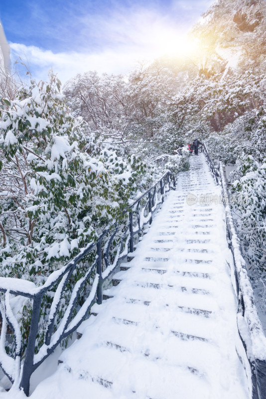 大自然冬季雪景