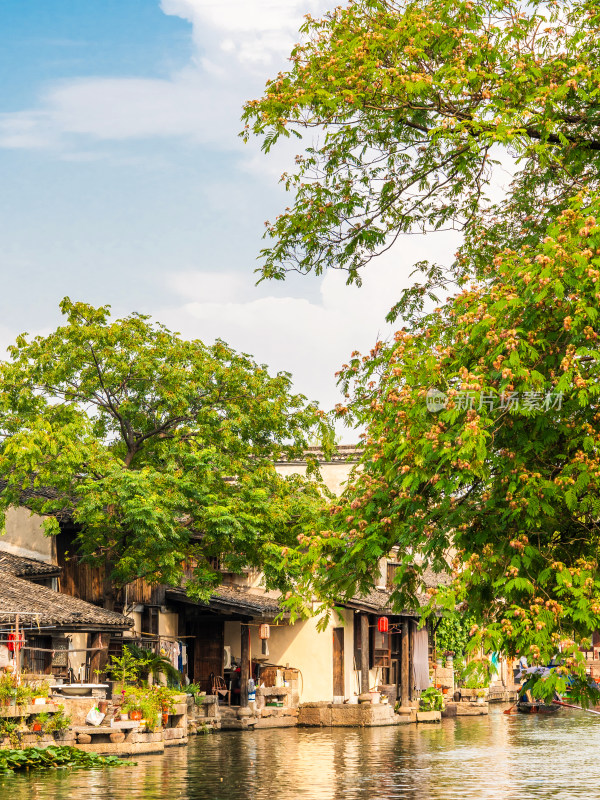 绍兴安昌古镇江南水乡风景