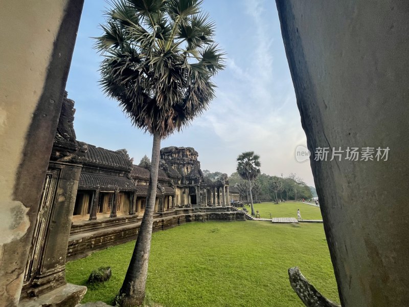 古老寺庙与棕榈树相映成趣的景观