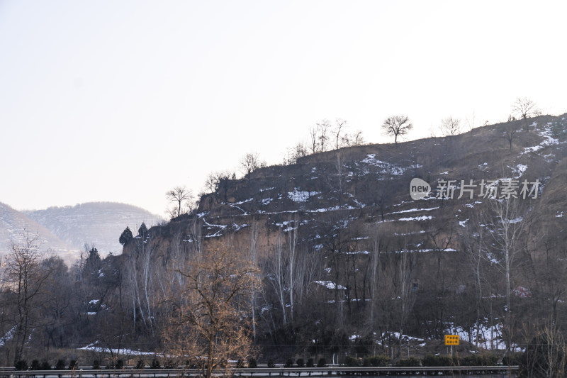 冬季山坡景象，树木稀疏有积雪