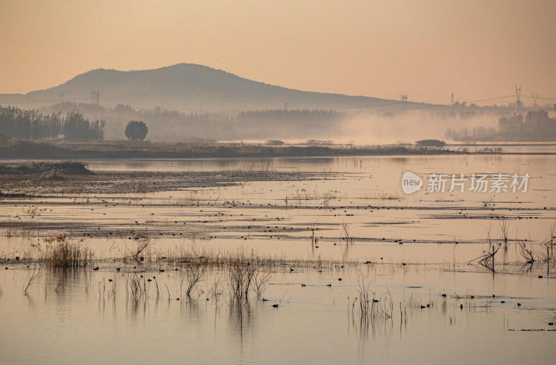 日出时分的湿地湖景