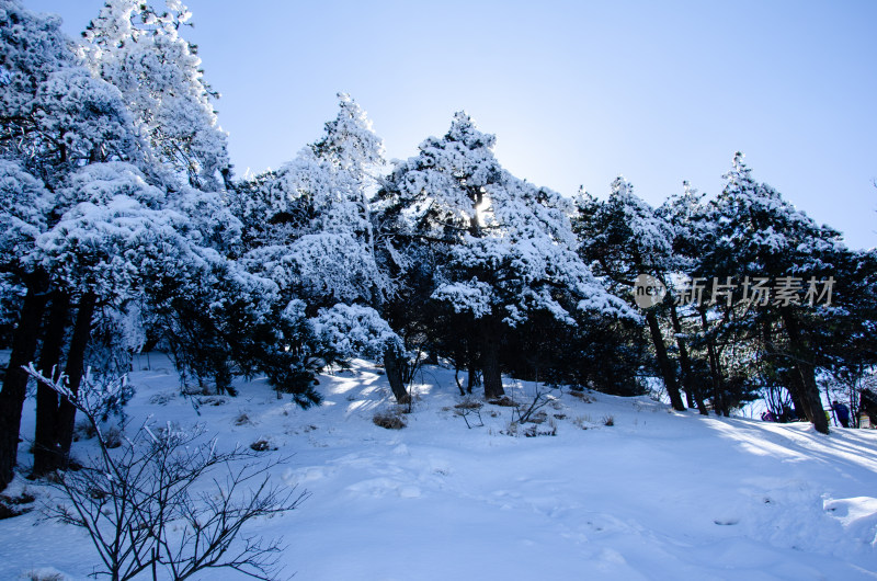 冬季黄山风光