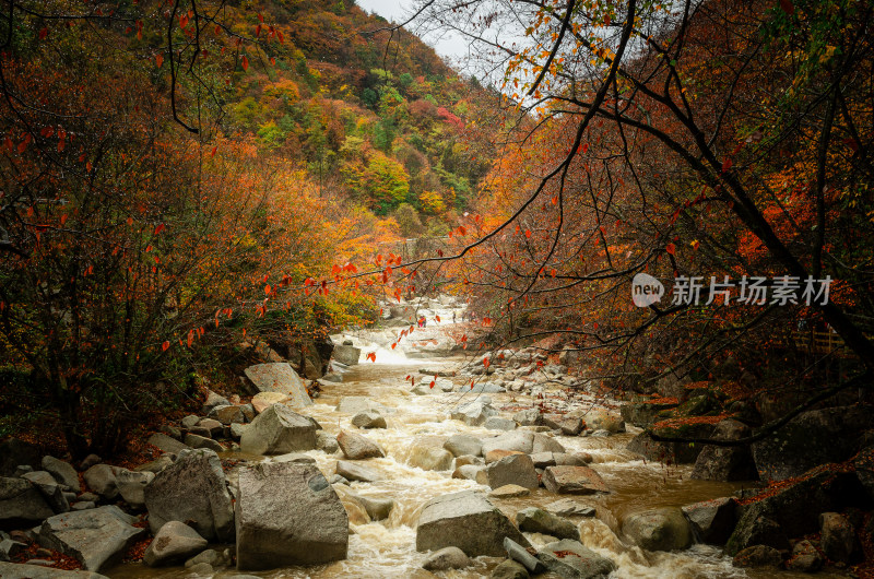 光雾山红叶彩林溪流河谷山谷漂亮壮观