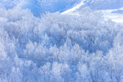 冬天雾凇树挂雪景雪林森林