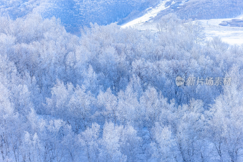 冬天雾凇树挂雪景雪林森林