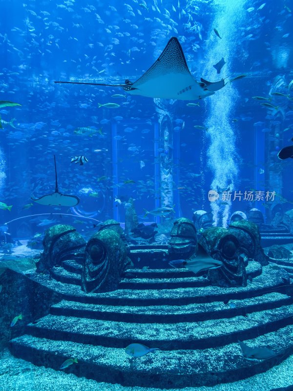 海南省三亚亚特兰蒂斯酒店的水族馆