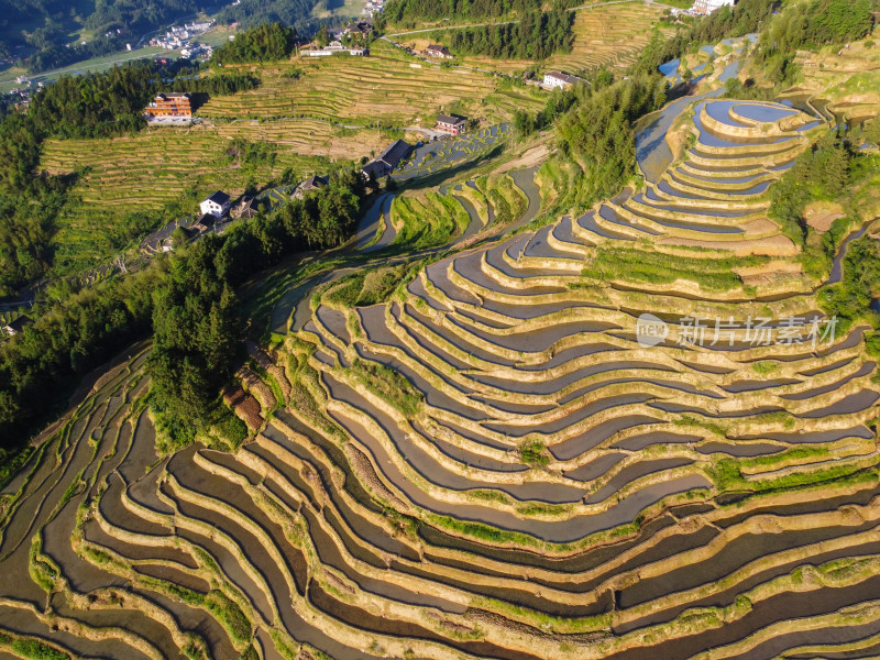 梯田风光