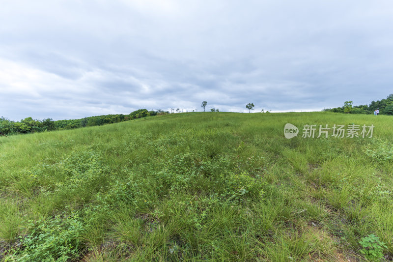 武汉江夏区二妃生物公园风景