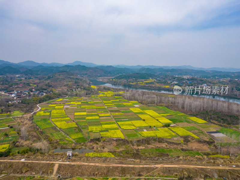 山川湖泊美丽乡村油菜花航拍图