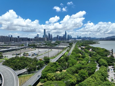 深圳湾 后海 深圳 深圳南山区 深圳湾公园