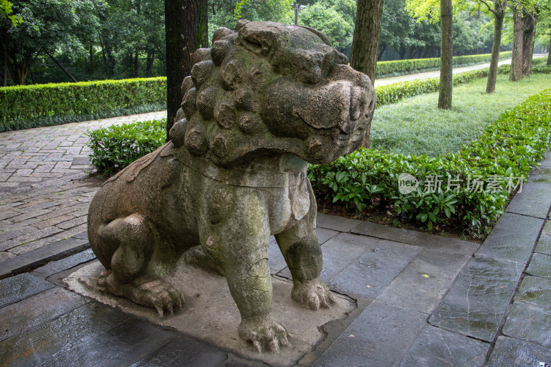 南京钟山风景区明孝陵神道石狮子特写