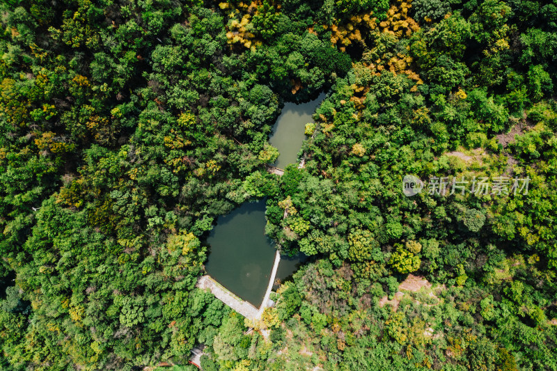 丽水万象山公园