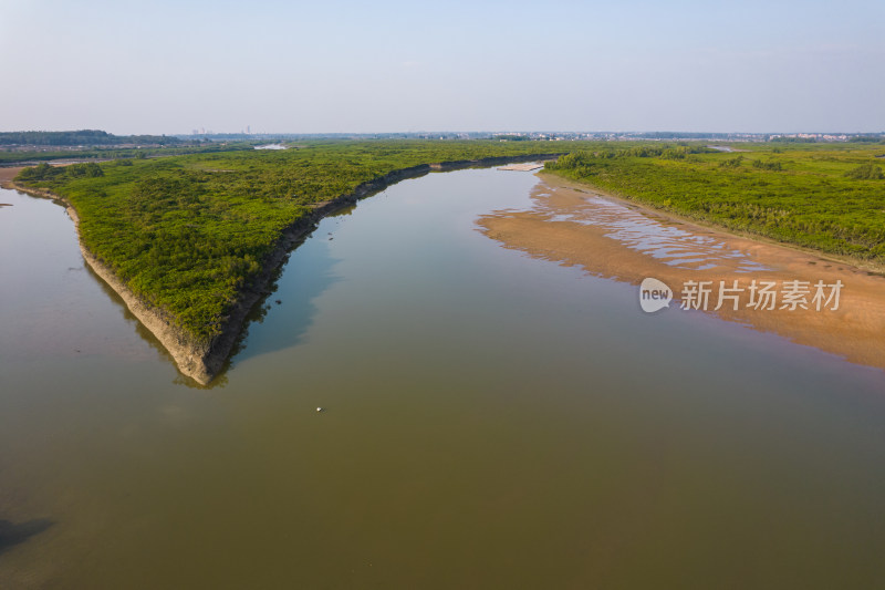 湛江高桥红树林保护区