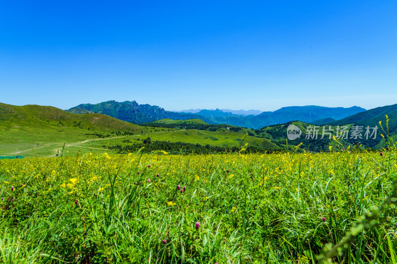 夏季蓝天白云绿色高山草甸群山大气风光