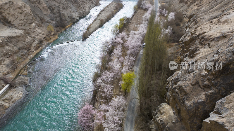 蓝色的河流穿过新疆杏花村 公路边鲜花盛开