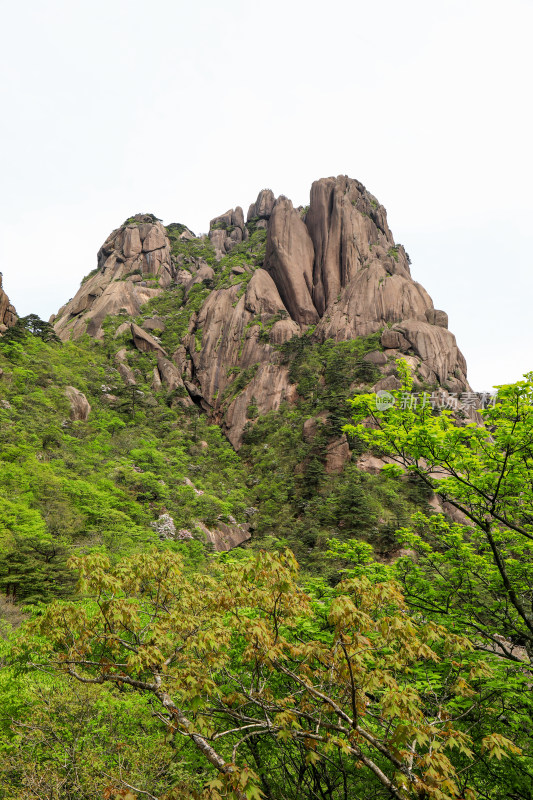 黄山登高自然风光