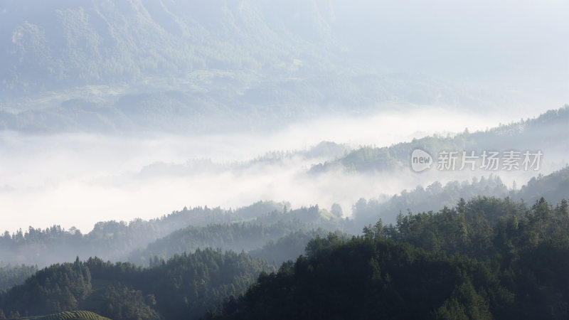 云海山岚