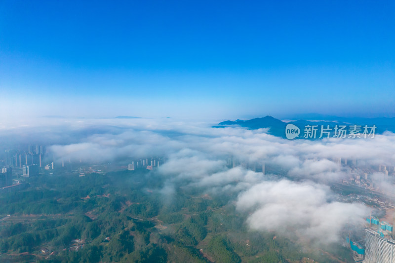 城市清晨云海风景航拍摄影图