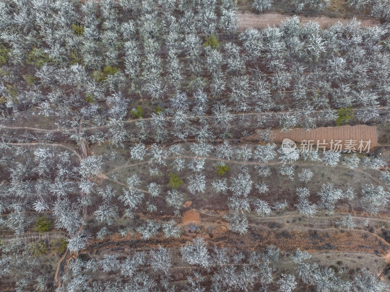 四川阿坝州金川梨花藏寨雪山高空航拍