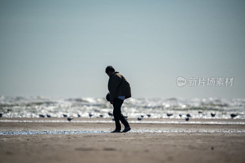 秦皇岛北戴河鸽子窝湿地