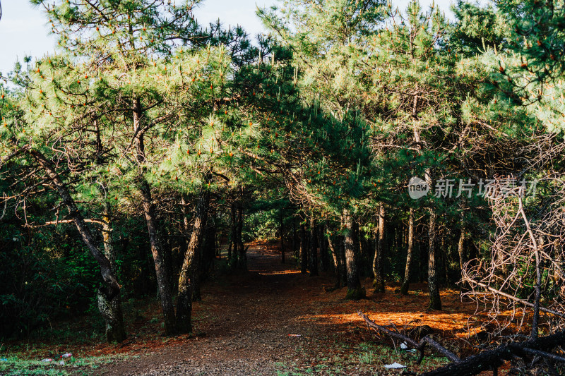 丽江玉龙雪山干河坝山脊线