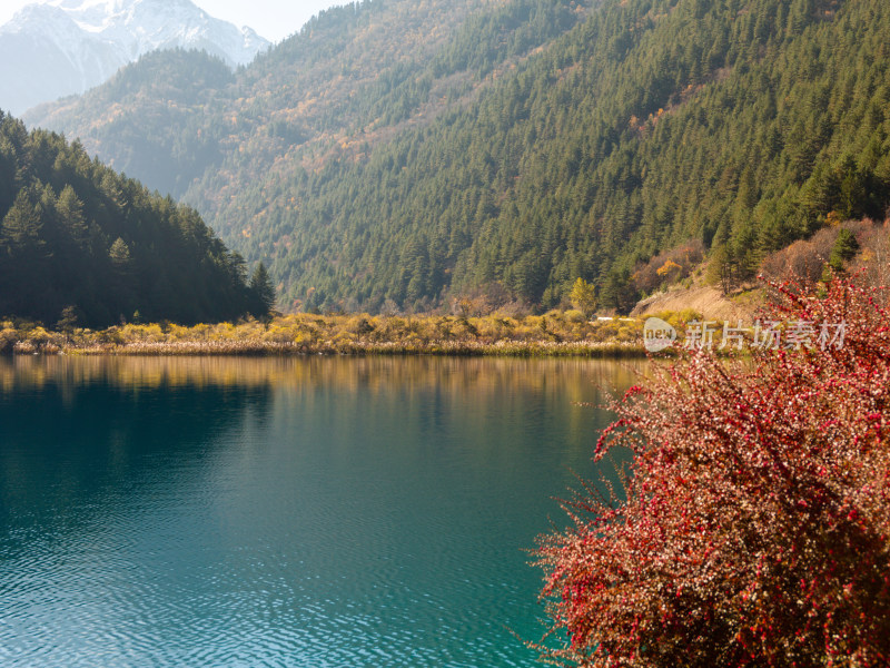 九寨沟秋景