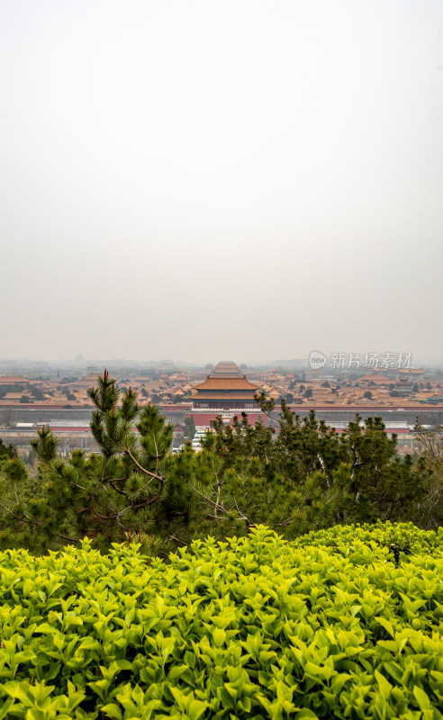 北京景山公园看故宫博物院建筑景观