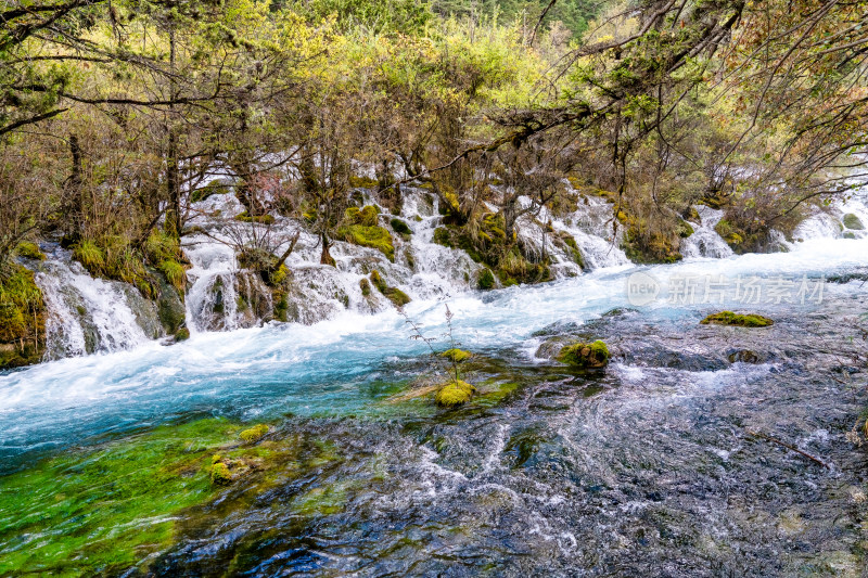 四川阿坝九寨沟流动的水