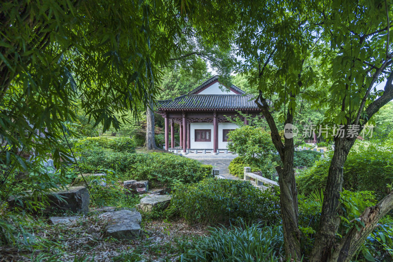 武汉东湖湖北书画院风景