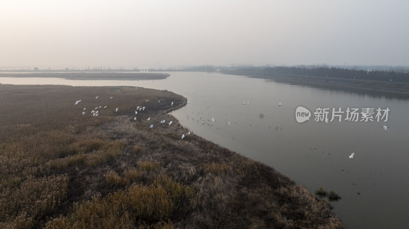 杭州大江东大湾区湿地公园候鸟栖息地